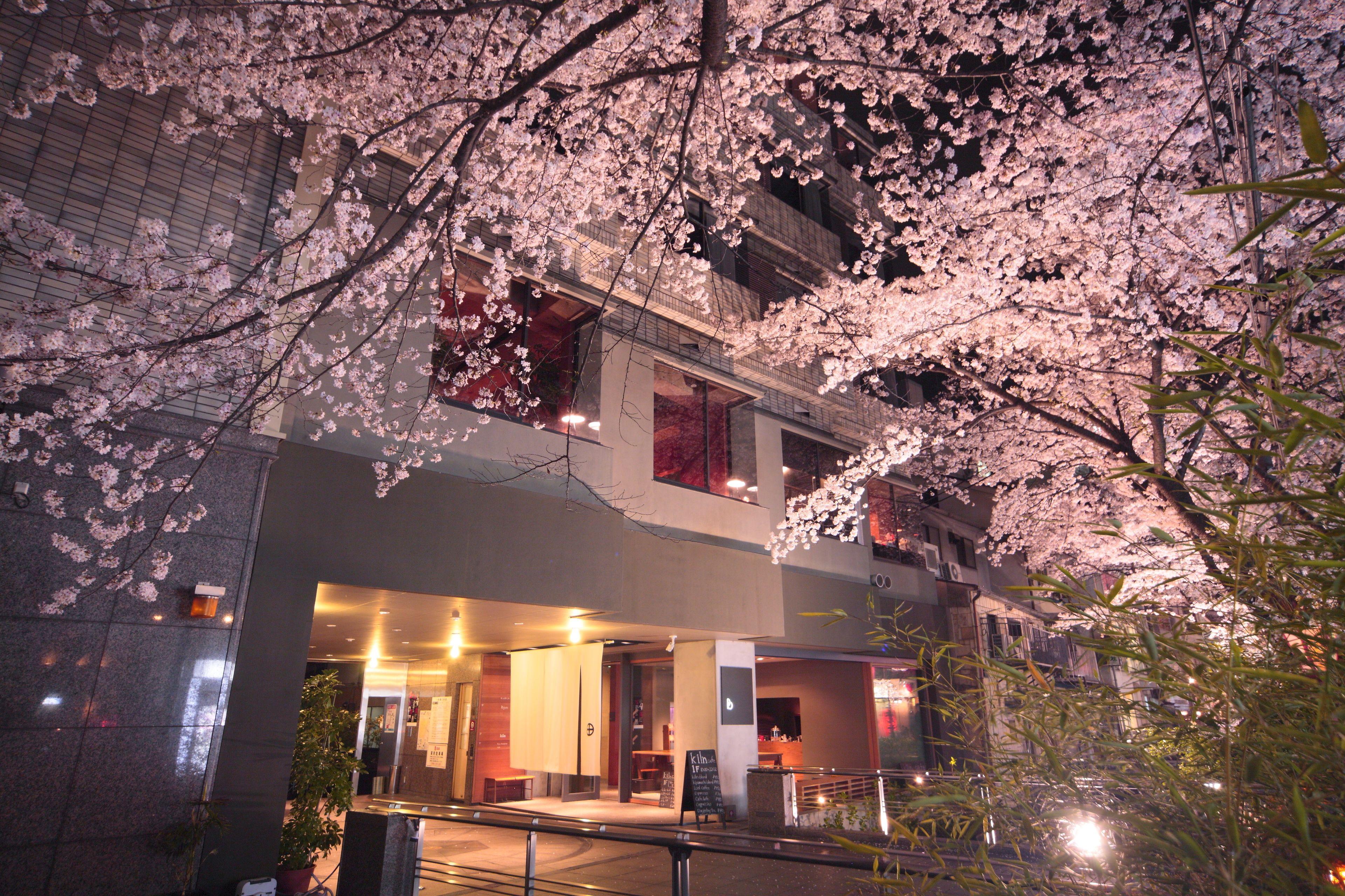 Bijuu, Kyoto